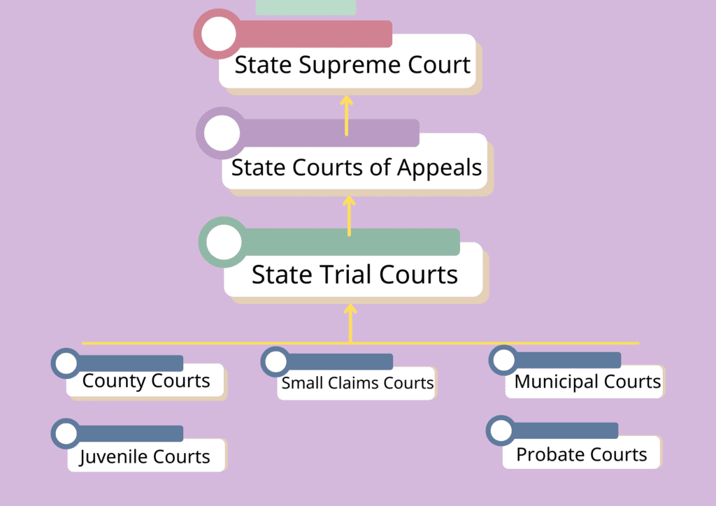 The State_Court_System