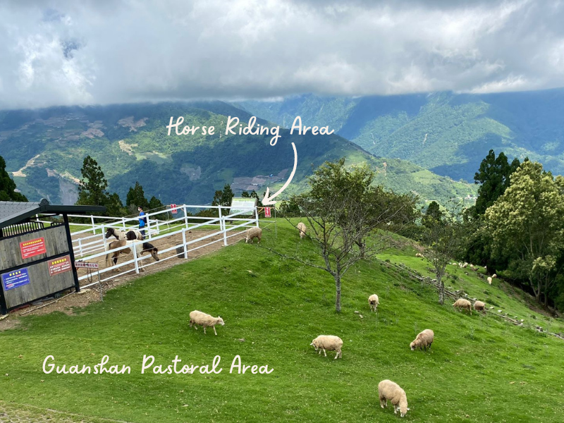 Travel Farm Nantou Trip