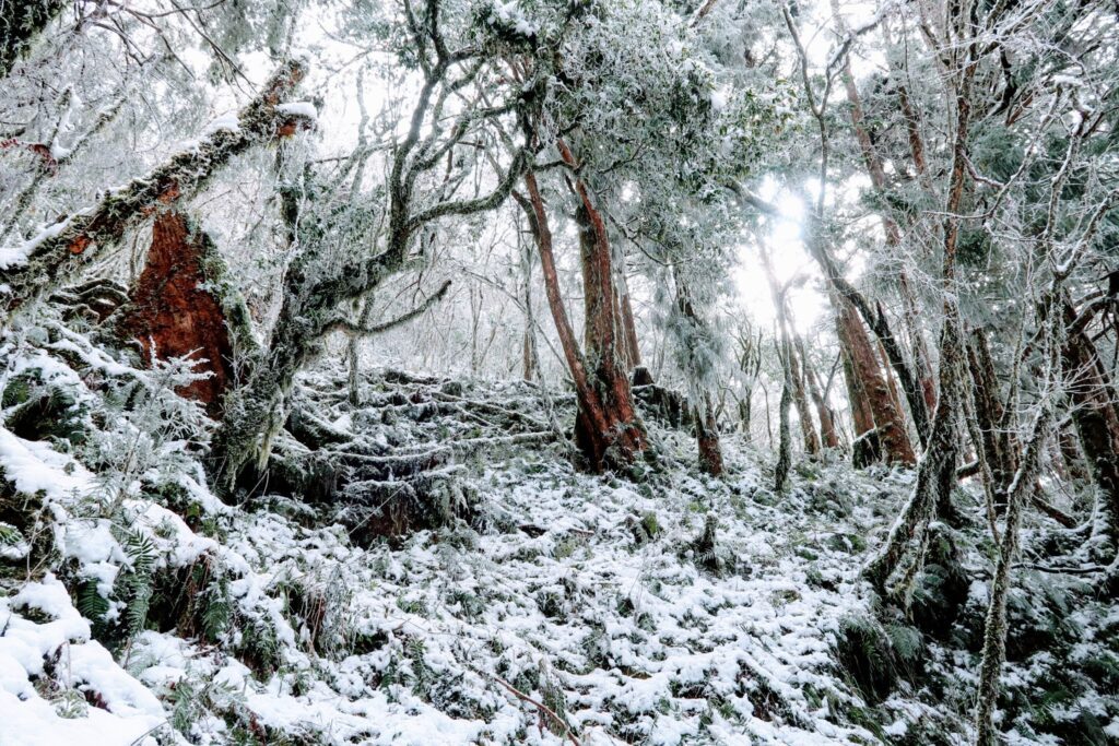 Snow in Taiwan