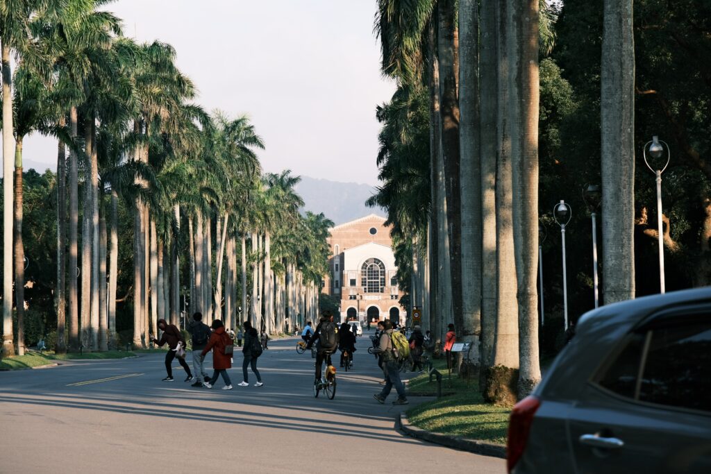 Palm trees line avenue leading to National Taiwan University library