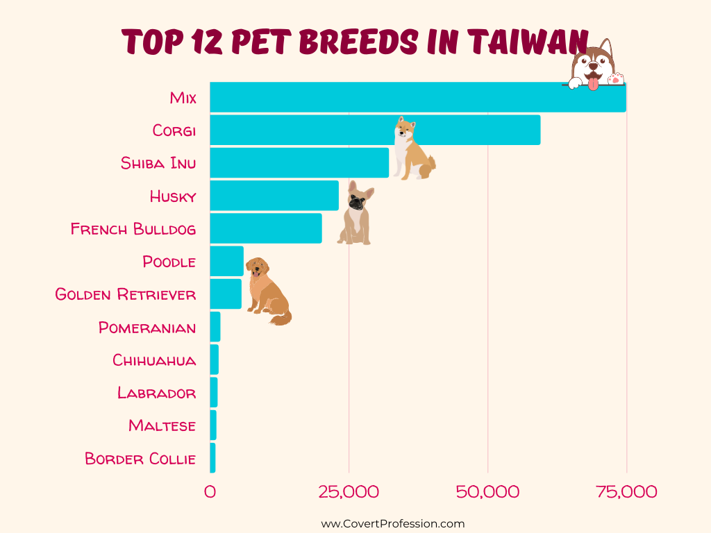 Stray dogs in Taiwan are the most popular breed for pet parents