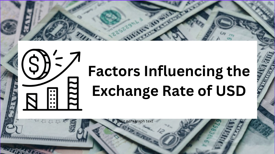 Factors Influencing the USD Exchange Rate