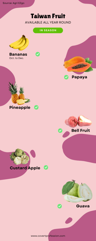 All year Taiwan Fruit infographic
