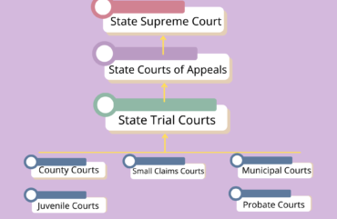 The State_Court_System