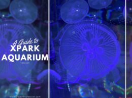 Xpark Aquarium Taiwan